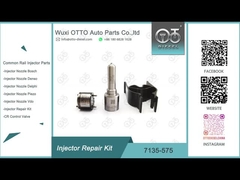 7135-575 bocal L363PRD da VW 1.2L de Delphi Injetor Repair Kit For 28231462