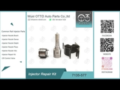 7135-577 Delphi Injetor Repair Kit For 28239766 GMDAT Z22D