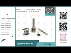 7135-647 Delphi Injetor Repair Kit For 28232248 com bocal L120PBD