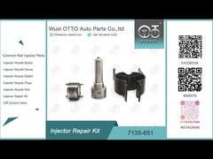 7135-651 Delphi Injetor Repair Kit For R02201Z com bocal L121PBD