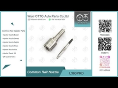 VW 1.2L dos injetores 28231462 de L363PRD Delphi Common Rail Nozzle For