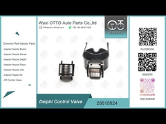 Válvula de controle comum do trilho 28615824 para Delphi Common Rail Injectors R00001D/28307309