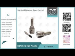 L379PRH Delphi Common Rail Nozzle para injetores 28231014 GWM 2.0L