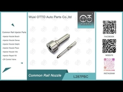 L287PBC Delphi Common Rail Nozzle para Injetor de Combustível