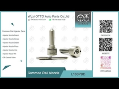 Injetores EJBR03301D de L163PBD Delphi Common Rail Nozzle For