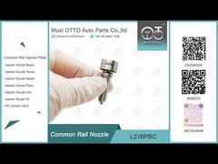 Injetores BEBE4D08001/24002/16001 de L216PBC Delphi Common Rail Nozzle For