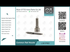Bocal comum do trilho de L381PBD para os injetores EJBR05102D