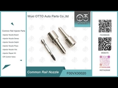 F00VX30020 / F00 VX 30020 Bosch Piezo Nozzle para Land Rover Freelander 0445115042 / 091