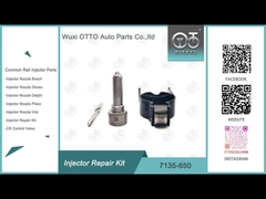 Kit de reparação de válvulas de bico 7135 - 650 Delphi Injector Kit para injetores DELPHI R04701D