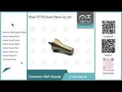 Novo bico do injetor C13/C15/C18 para bico da lagarta do injetor