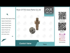 Válvula de controle Common Rail T643 Aplicada 0445110819/818/939