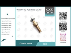 T613 Válvula de controle Bosch Common Rail Aplicada 0445110551