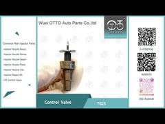 Bosch Common Rail Valve T625 de aço de alta velocidade