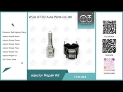 Kit de Reparo do Injetor Delphi 7135-854 para Bico E540 e Válvula 28602945