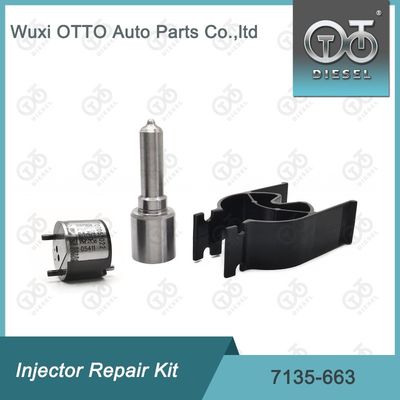 7135-663 Kit de reparação de injetores Delphi Kit de bico-válvula Kit de bico-CVA Kit