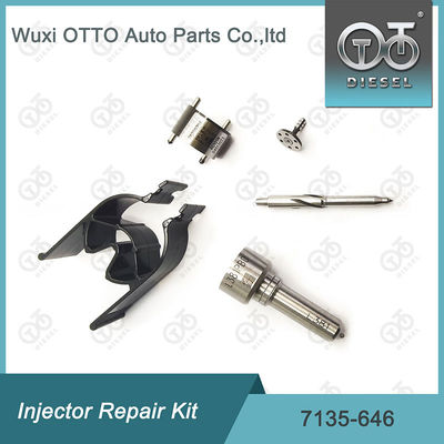 Kit de reparação de válvulas de bocal 7135-646 Delphi Injector Kit para injetores 28232251 / R03101D / R05102D