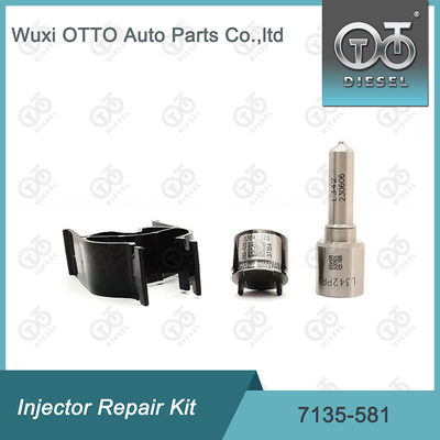 Kit de reparação do injetor  7135-581 para R00101D PSA FORD DW10C