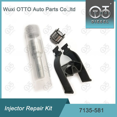 Kit de reparação do injetor  7135-581 para R00101D PSA FORD DW10C
