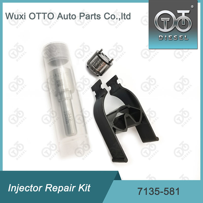 Kit de reparação do injetor Delphi para R00101D PSA / FORD DW10C