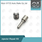 OEM 7135-730 Delphi Injector Repair Kit abrangente
