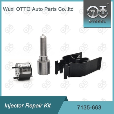7135-663 Kit de reparação de injetores Delphi Kit de bico-válvula Kit de bico-CVA Kit