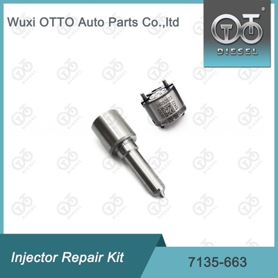 7135-663 Kit de reparação de injetores Delphi Kit de bico-válvula Kit de bico-CVA Kit