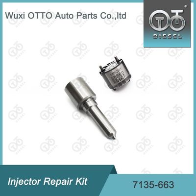 7135-663 Kit de reparação de injetores  Kit de bico-válvula Kit de bico-CVA Kit