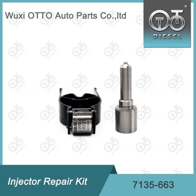 7135-663 Kit de reparação de injetores Delphi Kit de bico-válvula Kit de bico-CVA Kit