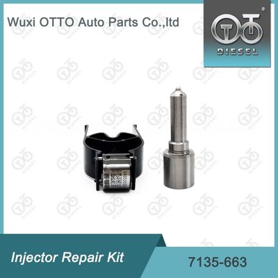 7135-663 Kit de reparação de injetores  Kit de bico-válvula Kit de bico-CVA Kit