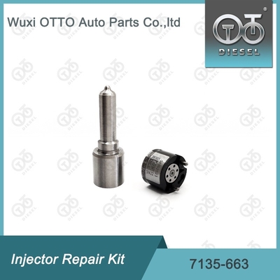 7135-663 Kit de reparação de injetores Delphi Kit de bico-válvula Kit de bico-CVA Kit