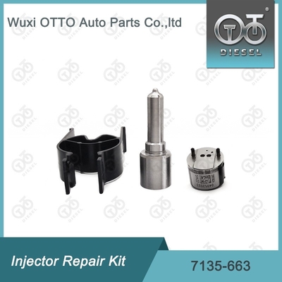 7135-663 Kit de reparação de injetores Delphi Kit de bico-válvula Kit de bico-CVA Kit