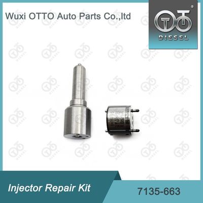 7135-663 Kit de reparação de injetores  Kit de bico-válvula Kit de bico-CVA Kit