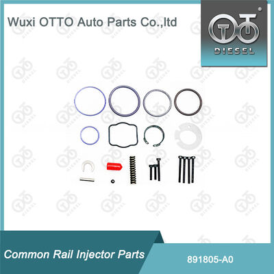 891805-A0 Kit de reparação de injetores de combustível 891804-M11 para injetores da série  A0