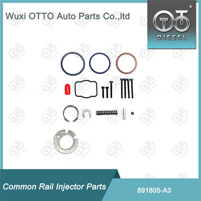 Kit de Reparação de Injetor de Combustível Diesel 891805-A3 Para Injetor da Série Delphi A3