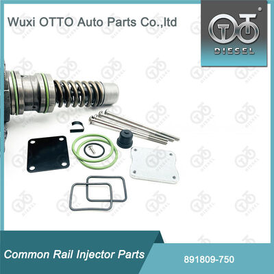 Kits de reparo de injetor de combustível 891809-750 para bomba de êmbolo único Bosch 750