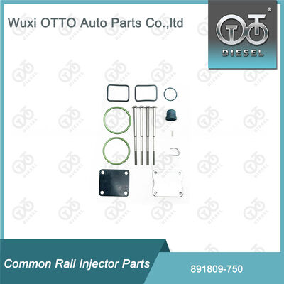 Kits de reparo de injetor de combustível 891809-750 para bomba de êmbolo único Bosch 750