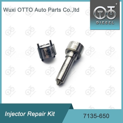 Kit de reparação de válvulas de bico 7135 - 650 Delphi Injector Kit para injetores DELPHI R04701D