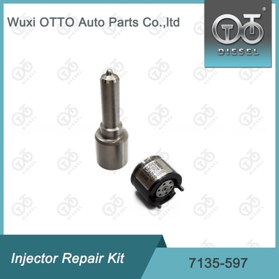 7135-597 Kit de reparação de injetores Delphi Kit de bico-CVA Kit de bico-válvula Kit